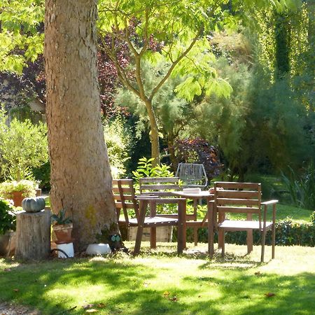 Domaine De Joreau Gennes-Val-de-Loire エクステリア 写真