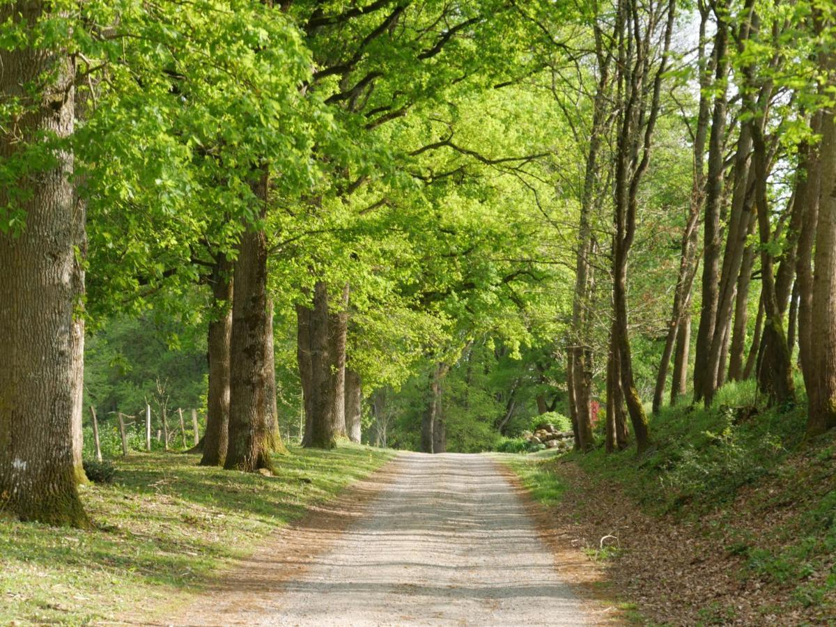 Domaine De Joreau Gennes-Val-de-Loire エクステリア 写真
