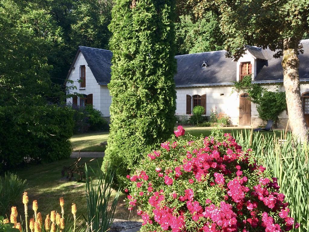 Domaine De Joreau Gennes-Val-de-Loire エクステリア 写真
