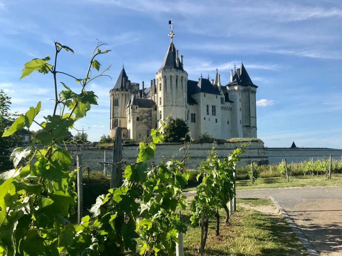 Domaine De Joreau Gennes-Val-de-Loire エクステリア 写真